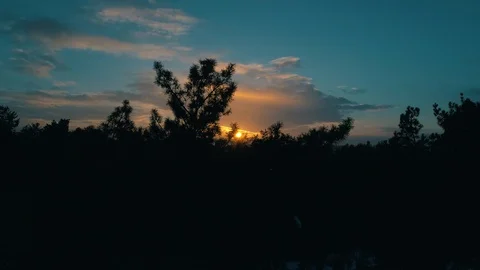 Aerial view of the forest at sunset Stock Footage 112148916
