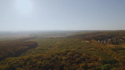 Aerial view of the forest at sunset Stock Footage 317580460
