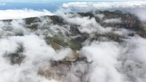 Aerial view of forest surrounding El Teide National Park, Tenerife, Canary Stock Footage 301712580