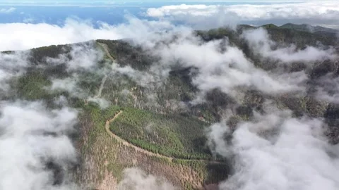 Aerial view of forest surrounding El Teide National Park, Tenerife, Canary Stock Footage 301712827