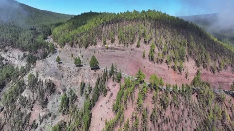 Aerial view of forest surrounding El Teide National Park, Tenerife, Canary Stock Footage 301712854