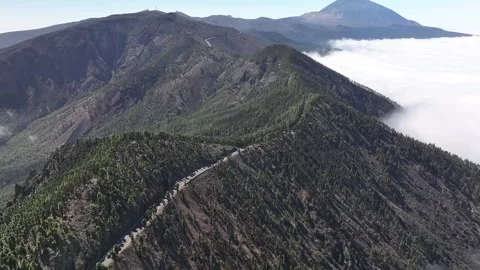 Aerial view of forest surrounding El Teide National Park, Tenerife, Canary Stock Footage 301713031