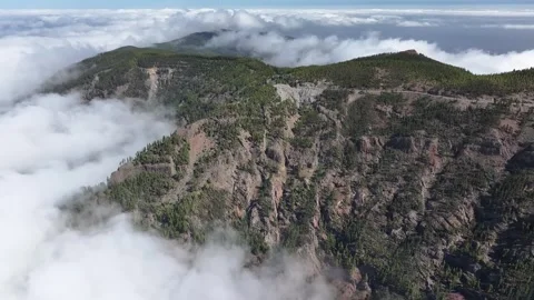 Aerial view of forest surrounding El Teide National Park, Tenerife, Canary Stock Footage 301713058
