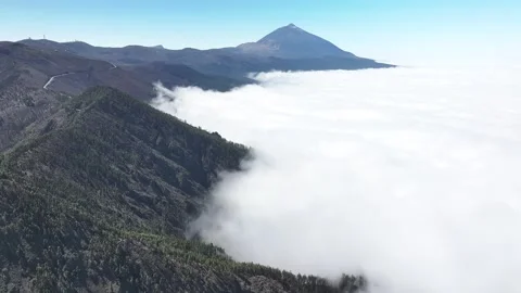 Aerial view of forest surrounding El Teide National Park, Tenerife, Canary Stock Footage 301713061