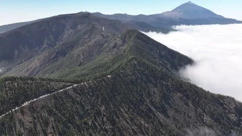 Aerial view of forest surrounding El Teide National Park, Tenerife, Canary Stock Footage 301713085