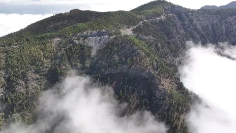 Aerial view of forest surrounding El Teide National Park, Tenerife, Canary Stock Footage 301713325