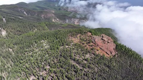 Aerial view of forest surrounding El Teide National Park, Tenerife, Canary Stock Footage 301713480