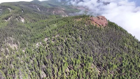 Aerial view of forest surrounding El Teide National Park, Tenerife, Canary Stock Footage 301713532