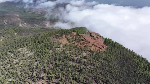 Aerial view of forest surrounding El Teide National Park, Tenerife, Canary Stock Footage 301713567