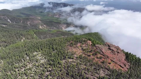Aerial view of forest surrounding El Teide National Park, Tenerife, Canary Stock Footage 301713612