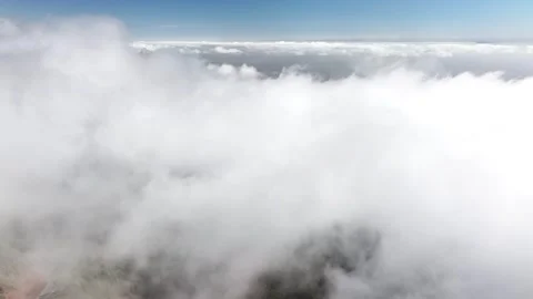 Aerial view of forest surrounding El Teide National Park, Tenerife, Canary Stock Footage 301731445