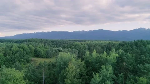 Aerial view of the forest surrounding Velebit mountain range, Croatia. Stock Footage 148990849