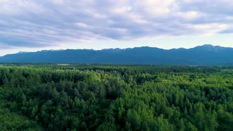 Aerial view of the forest surrounding Velebit mountain range, Croatia. Stock Footage 148990911