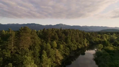 Aerial view of the forest surrounding Velebit mountain range, Croatia. Stock Footage 148990935