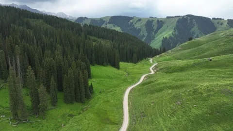 Aerial view of Forest trail and road in Ili, Xinjiang China Video stock 307420283