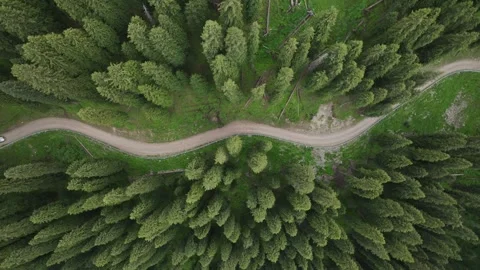 Aerial view of Forest trail and road in Ili, Xinjiang China 스톡 동영상 307420302