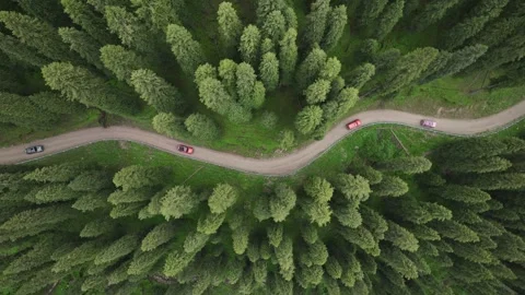 Aerial view of Forest trail and road in Ili, Xinjiang China Stock Footage 307420311