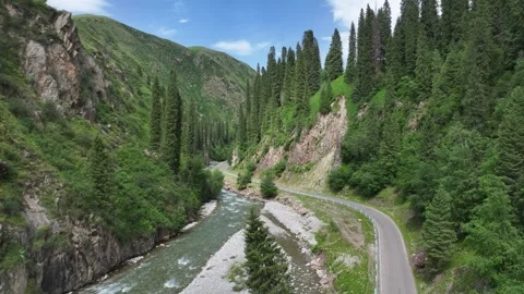 Aerial view of Forest trail and road in Ili, Xinjiang China Stock Footage 307420315