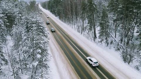 Aerial view of the forest tree branches in the snow Stock Footage 224785168