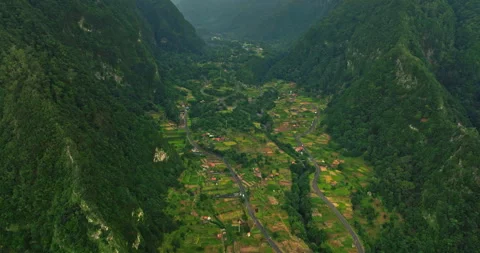 Aerial view on the forest tree region summer time season to trip to nature Stockbeeldmateriaal 265507803