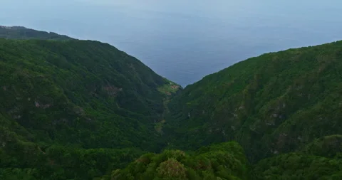 Aerial view on the forest tree region summer time season to trip to nature 스톡 동영상 265625793