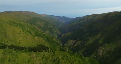 Aerial view on the forest tree region summer time season to trip to nature Stock Footage 267687869