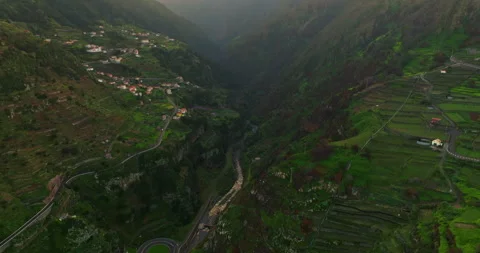 Aerial view on the forest tree region summer time season to trip to nature 스톡 동영상 269706760