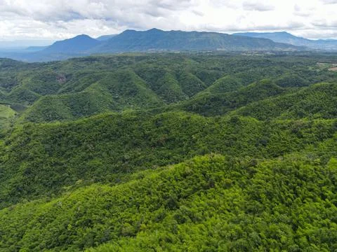Aerial view forest trees background jungle nature green tree on the mountain  Stock Photos