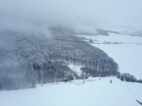 Aerial view of forest under a snow.  Stock Footage 84892571