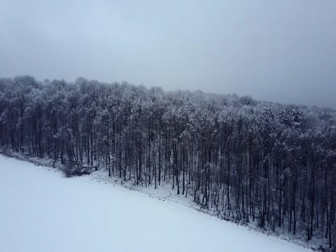 Aerial view of forest under a snow.  Stock Footage 84892647