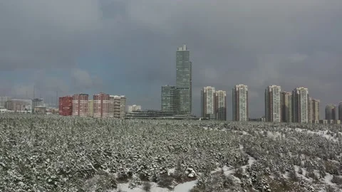 Aerial view of the forest when it's snowing.4K UHD AERIAL VIDEO Видео 202254375