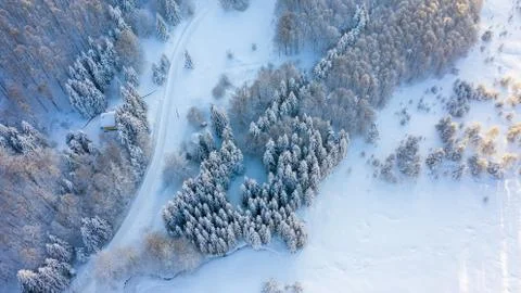 Aerial view of the forest at winter. Stock Photos