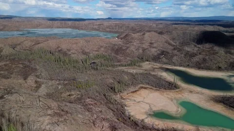 Aerial view of a forested area destroyed by wildfire. Video stock 308668287
