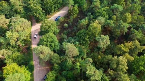 Aerial view of a forested area with two winding paved roads and sparse traffic Stock-Footage 317121323