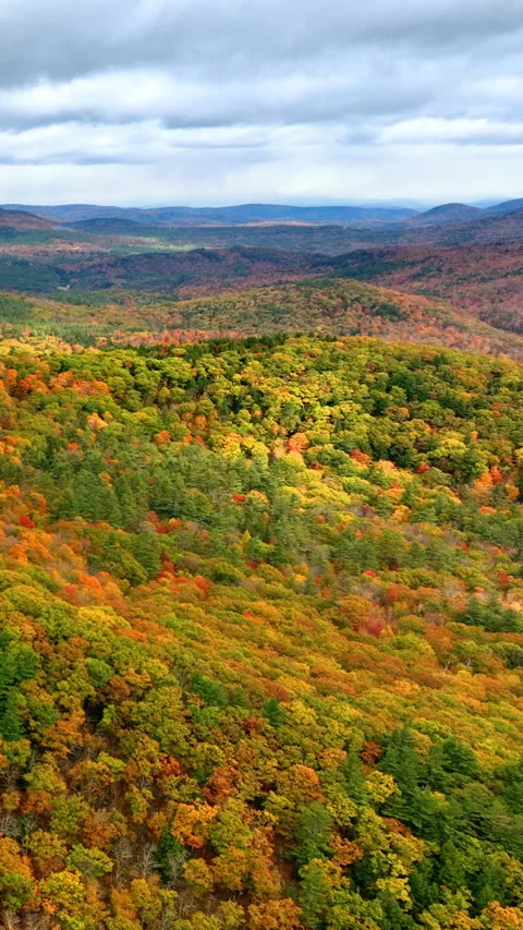 Aerial view of forested hills in fall colors. Vertical video. Video stock 321942055
