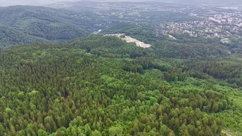 Aerial view of forested hills with mixed conifer and deciduous canopy Stock Footage 342359306