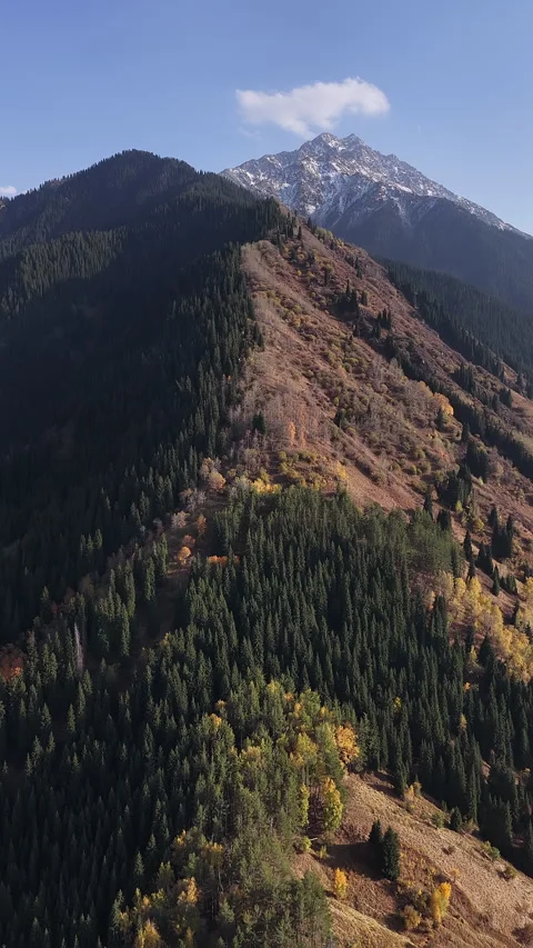 Aerial view of forested mountain ridge with snowy peaks, Kazakhstan 库存影片 344558148
