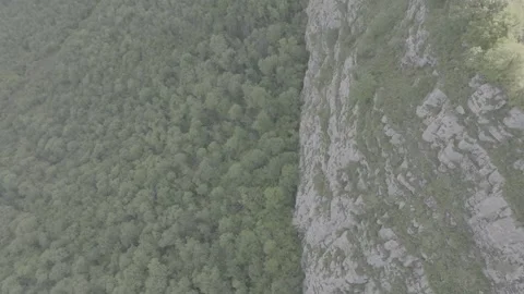 Aerial View of a Forested Mountain Side and Rocky Cliff Face Stock Footage 341880593