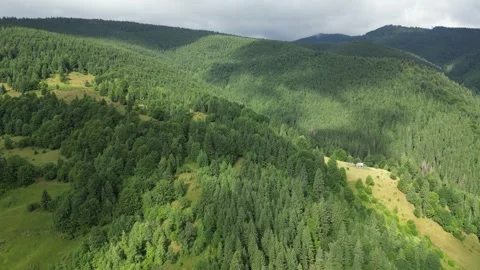 Aerial view of forested mountain slopes in summer Video stock 325819728