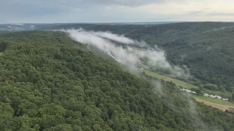 Aerial view of forested river valley with fog Video stock 313758032
