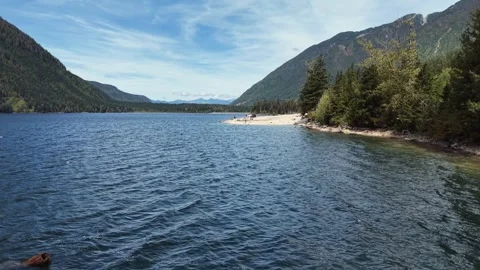 Aerial View of a Forested Sandy Beach Cove on a BC Mountain Lake Stock-Footage 345845729
