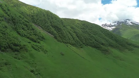 Aerial View, Forested Slope Approaching Mount Shkhara Stock Footage 339348549