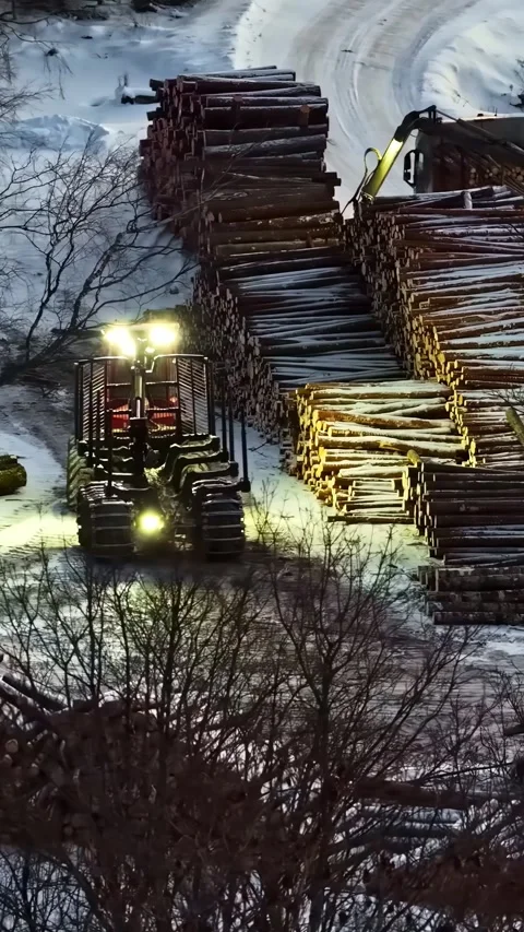 Aerial view of forestry machine moving logs in snowy forest, LATVIA. Stock Footage 339803569