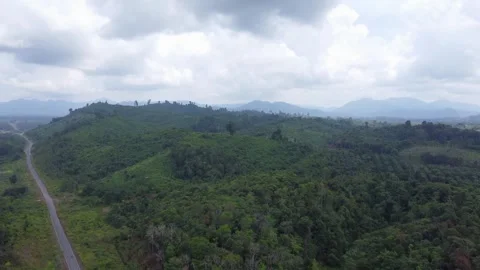 Aerial view of forests and mountains being cut open for road construction i.. Stock Footage 250400165