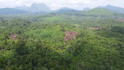 Aerial view of forests and mountains being cut open for road construction i.. Stock Footage 250400540