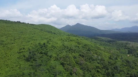 Aerial view of forests and mountains being cut open for road construction i.. Stock Footage 250400969