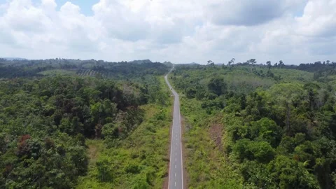 Aerial view of forests and mountains being cut open for road construction i.. Stock Footage 250401829