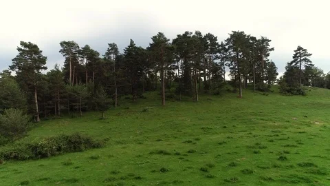 Aerial view of forests Stock Footage 101097247