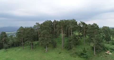 Aerial view of forests Stock Footage 101097330
