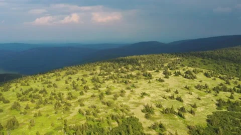 Aerial view of forests Stock Footage 148047437